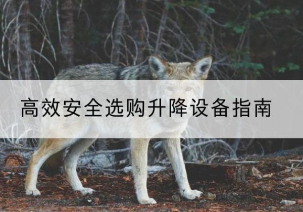 灵丘升降货梯厂家推荐-*安全选购升降设备指南