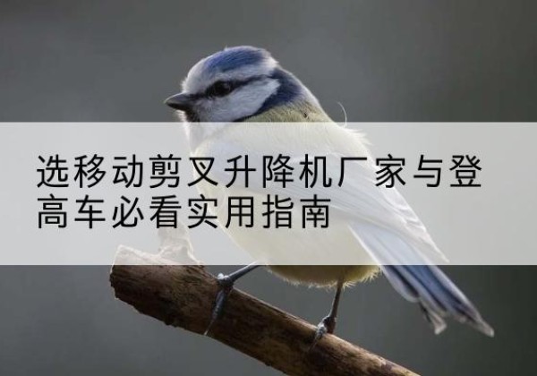 灵丘电动升降机厂家-选移动剪叉升降机厂家与登高车必看实用指南